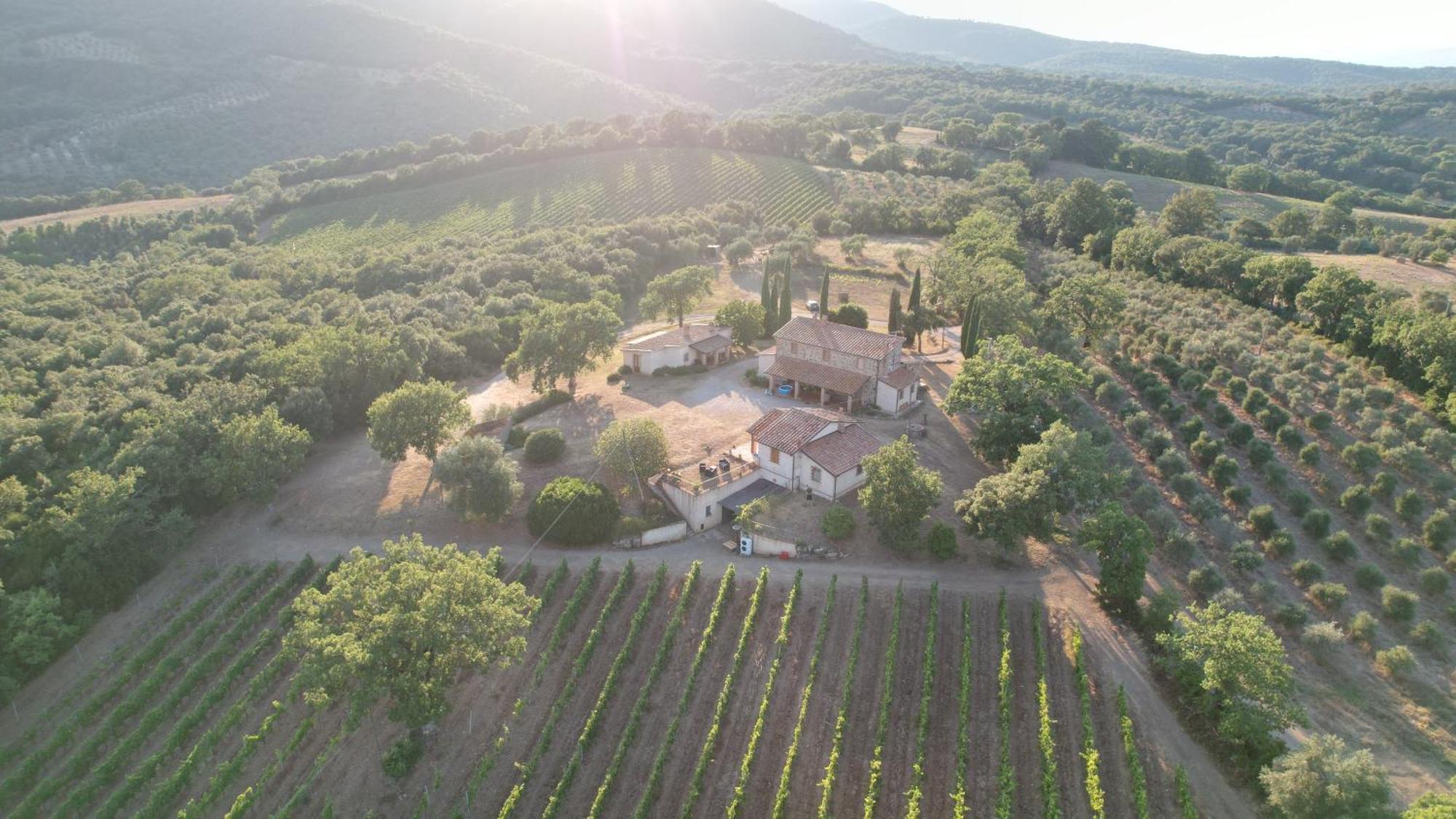 Agriturismo Belvedere Di Pierini E Brugi 캄파냐티코 외부 사진
