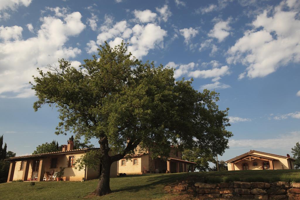 Agriturismo Belvedere Di Pierini E Brugi 캄파냐티코 외부 사진